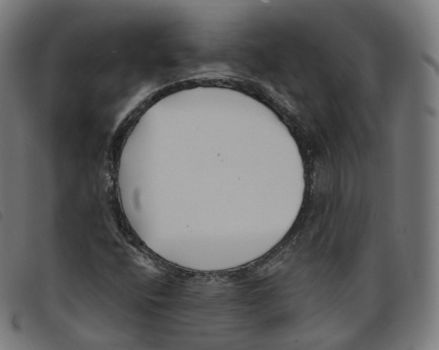 X0000098051400200804251052