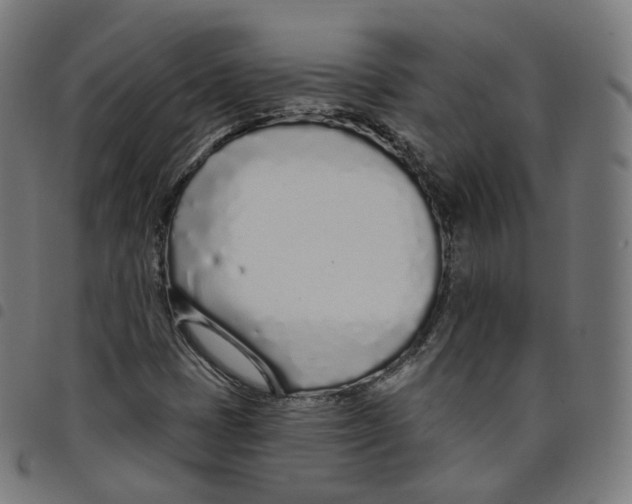 X0000098051401200804251052