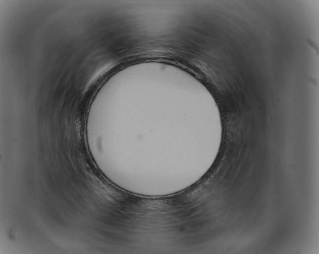 X0000098051402200804251052