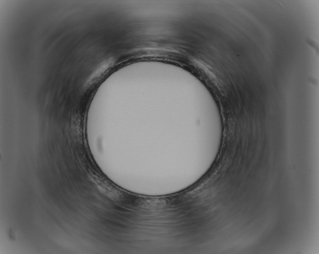 X0000098051403200804251052