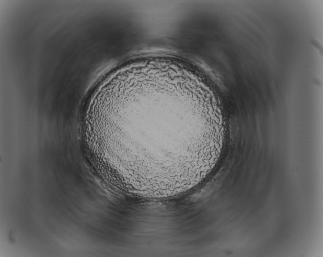 X0000098051405200804251052