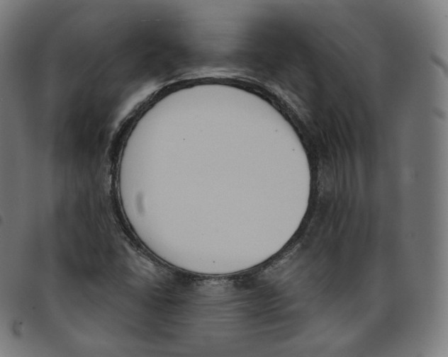 X0000098051406200804251052