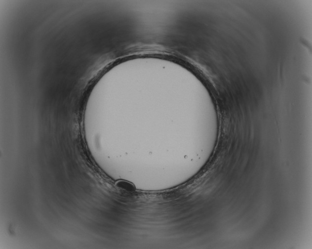 X0000098051407200804251052