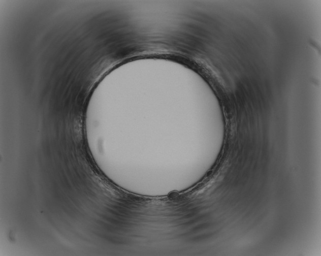 X0000098051409200804251052