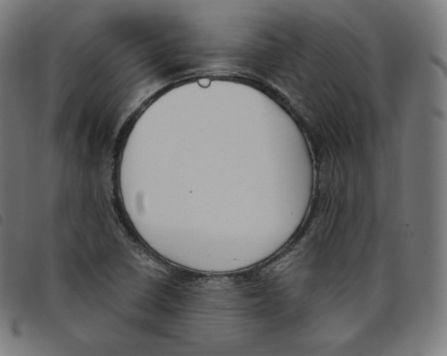 X0000098051410200804251052