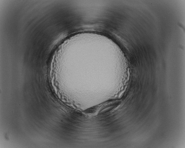 X0000098051411200804251052