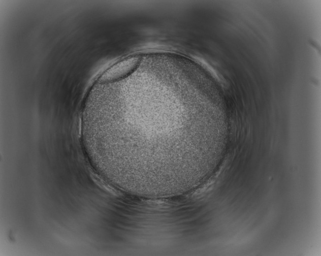 X0000098051413200804251052