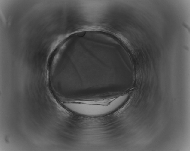 X0000098051414200804251052