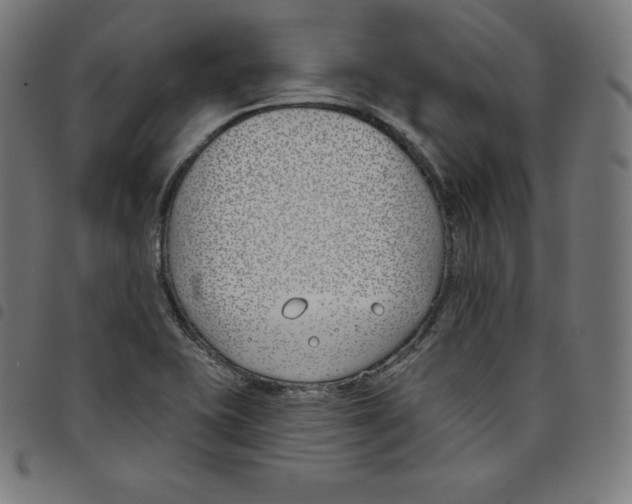 X0000098051415200804251052