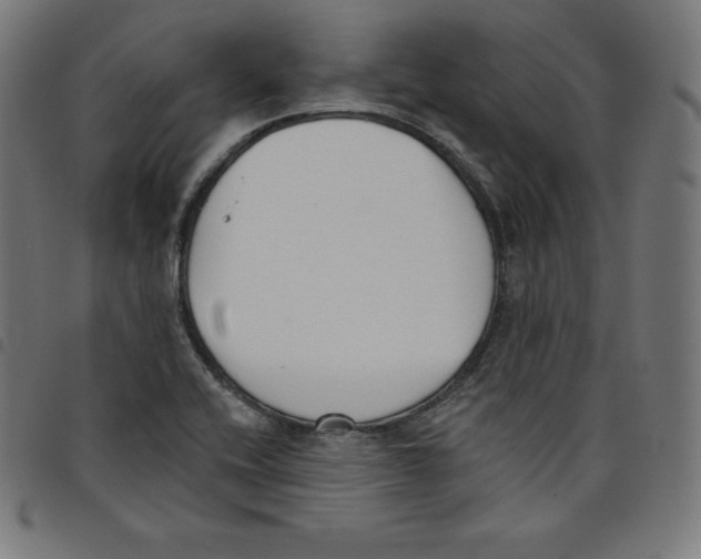 X0000098051416200804251052