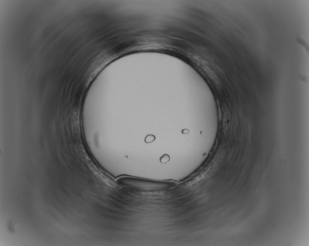 X0000098051417200804251052