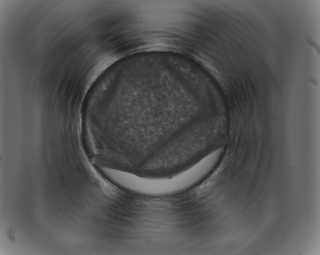 X0000098051418200804251052