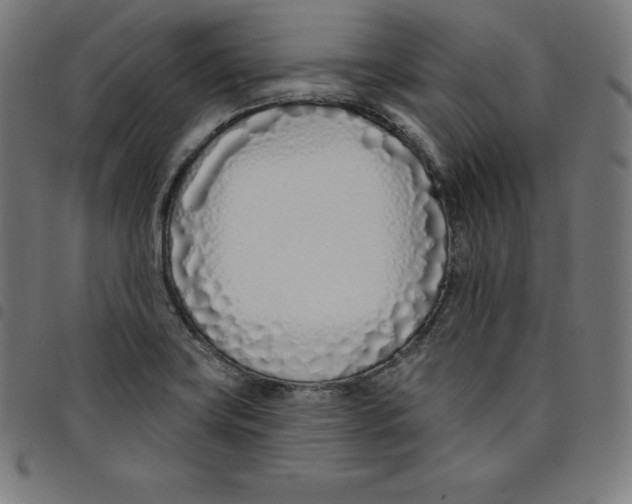 X0000098051419200804251052