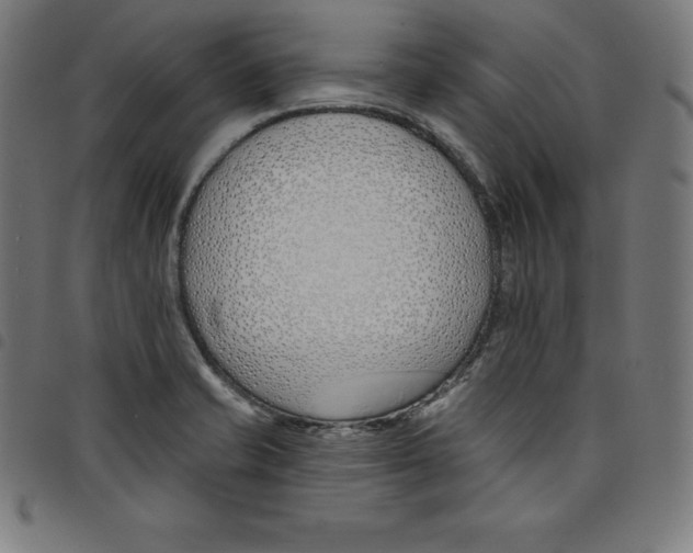 X0000098051421200804251052