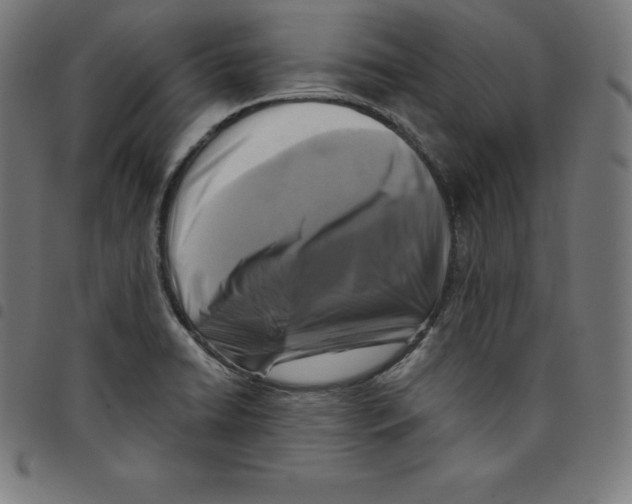 X0000098051422200804251052