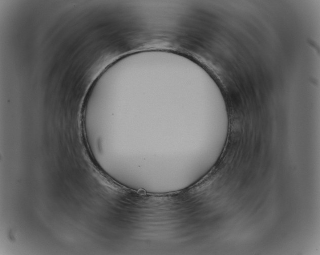 X0000098051423200804251052