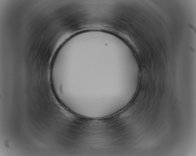 X0000098051424200804251052