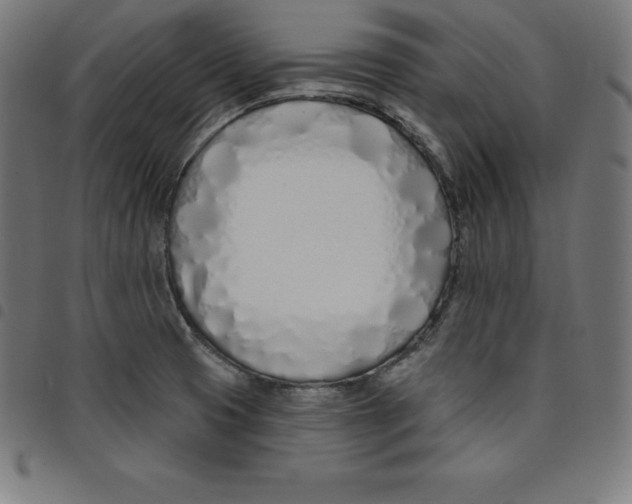 X0000098051425200804251052