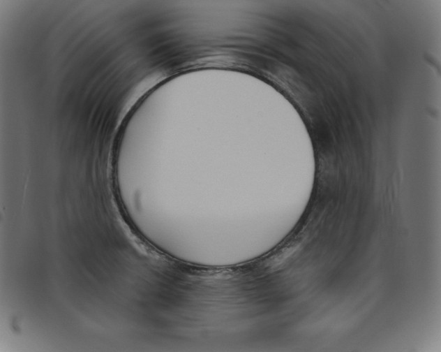 X0000098051426200804251052