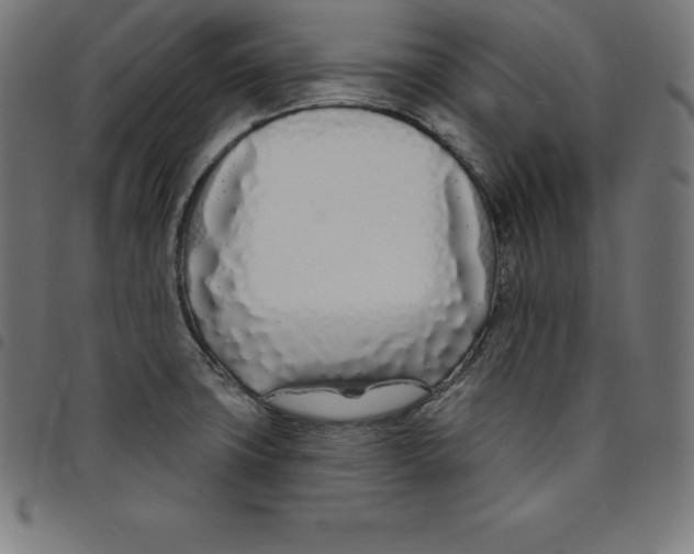 X0000098051427200804251052