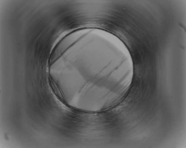 X0000098051428200804251053