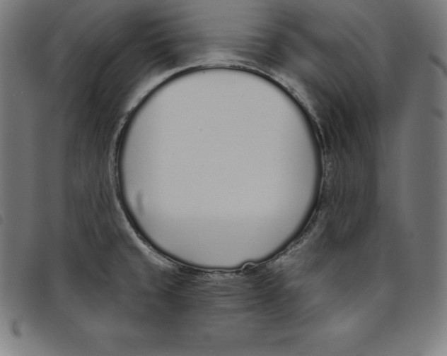 X0000098051429200804251053