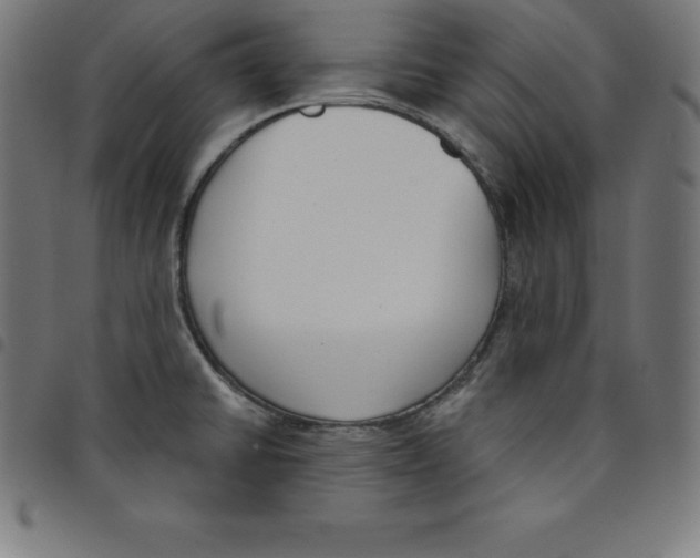 X0000098051430200804251053