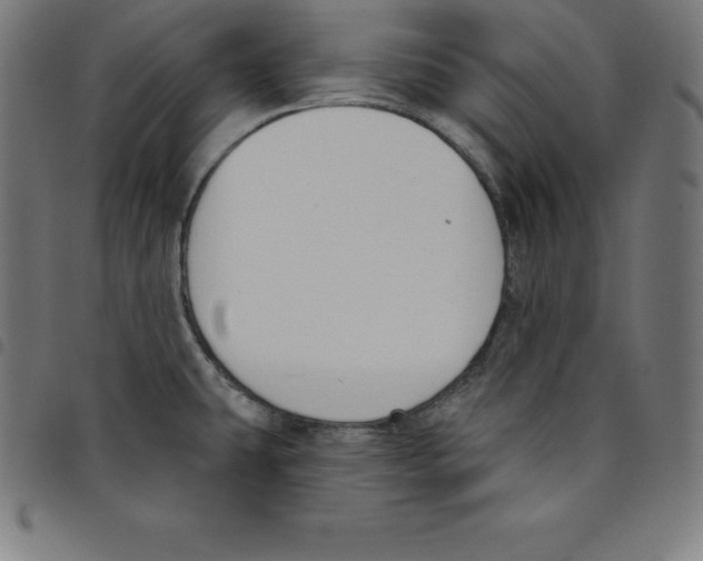 X0000098051431200804251053