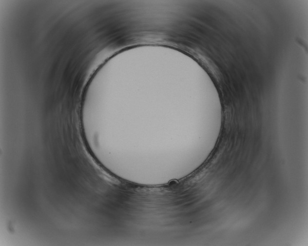 X0000098051432200804251053