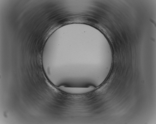 X0000098051433200804251053