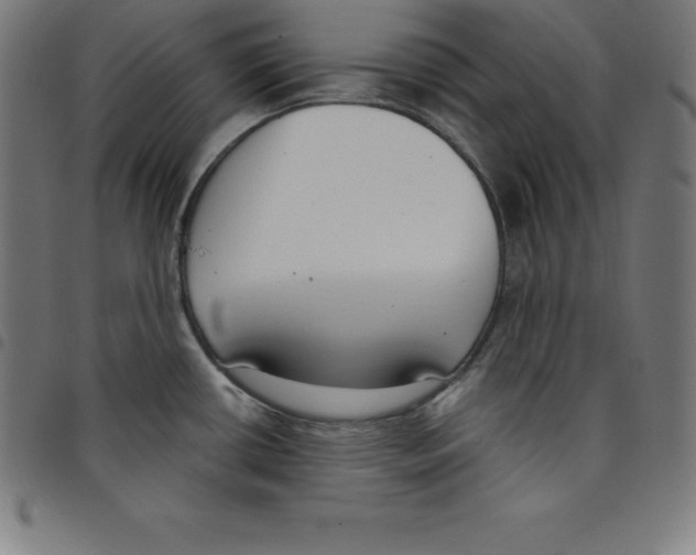 X0000098051434200804251053