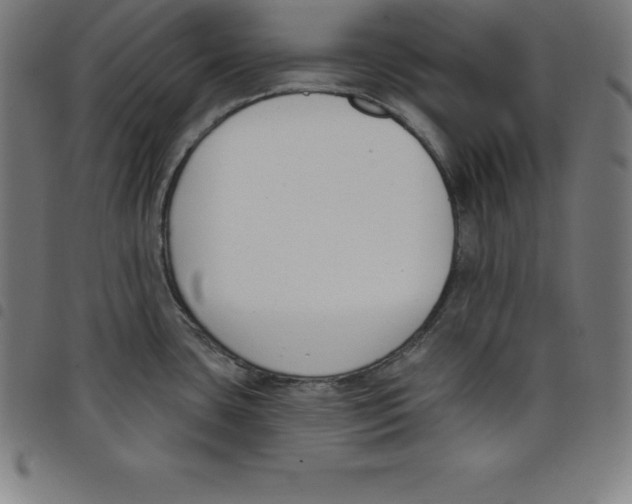 X0000098051435200804251053