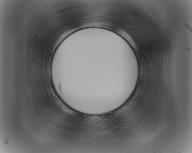 X0000098051436200804251053