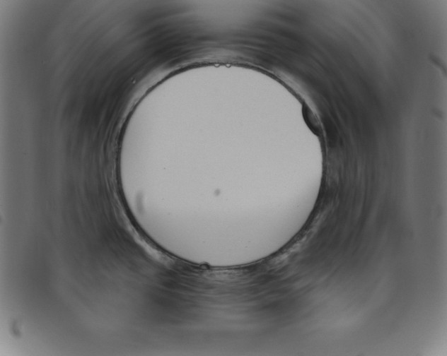 X0000098051437200804251053