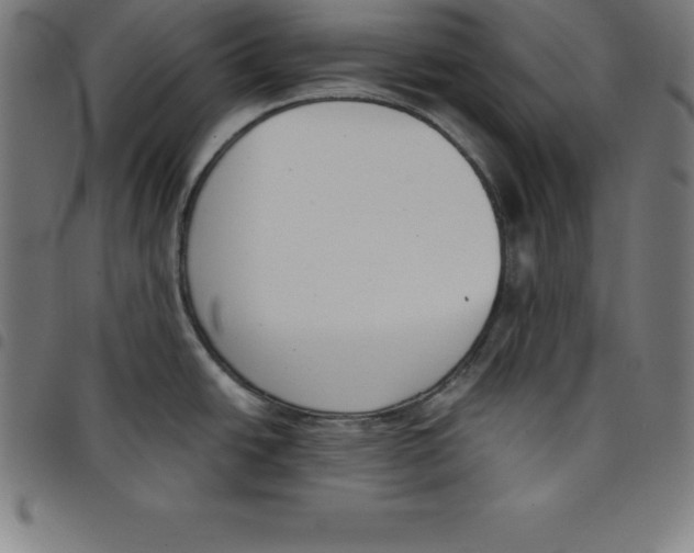 X0000098051438200804251053