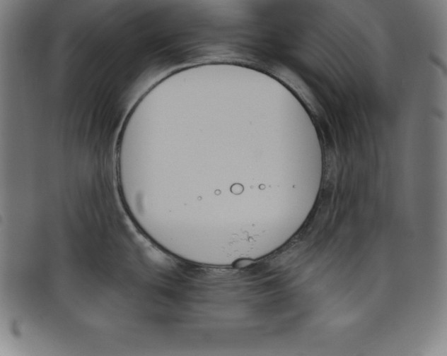 X0000098051439200804251053