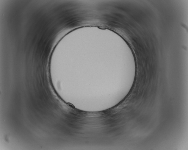 X0000098051440200804251053