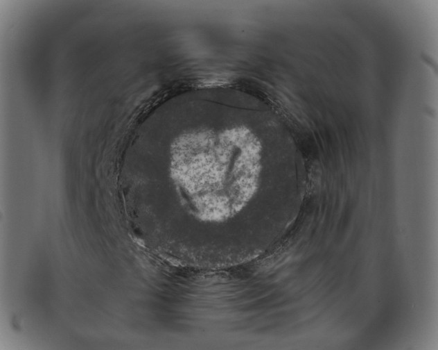 X0000098051441200804251052