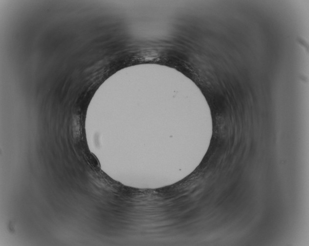 X0000098051442200804251052