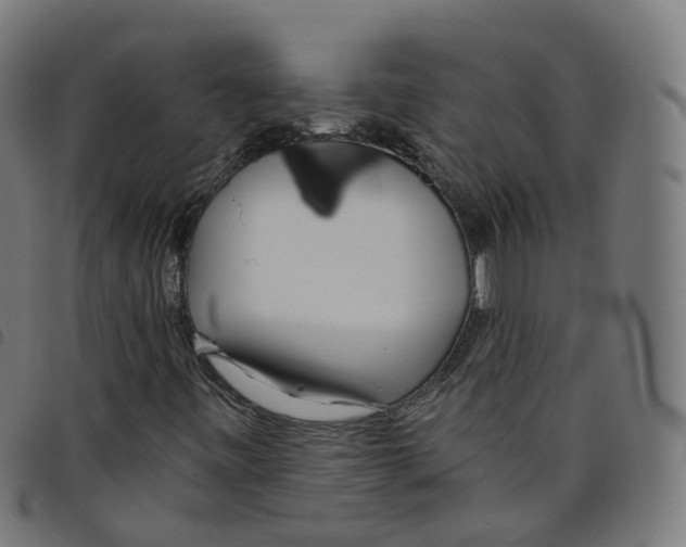 X0000098051443200804251052