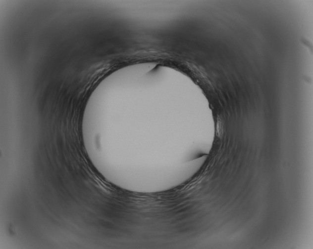 X0000098051444200804251052