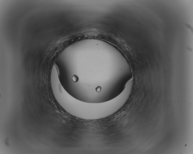 X0000098051445200804251052