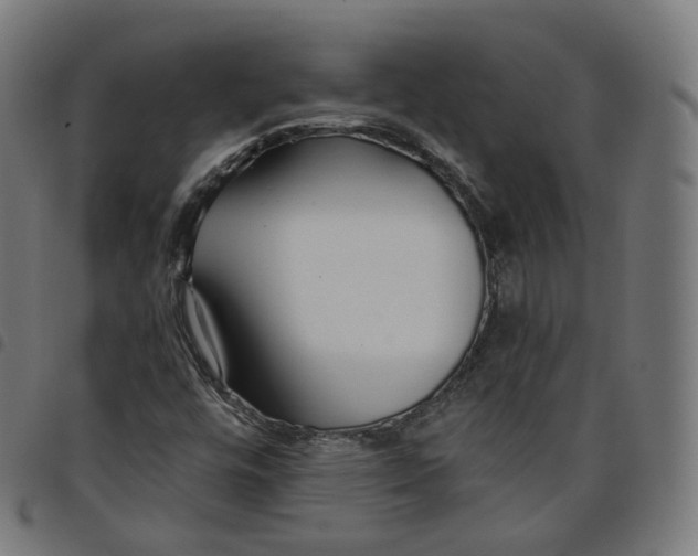 X0000098051448200804251052