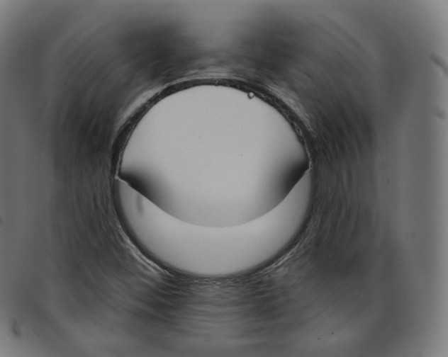 X0000098051452200804251052