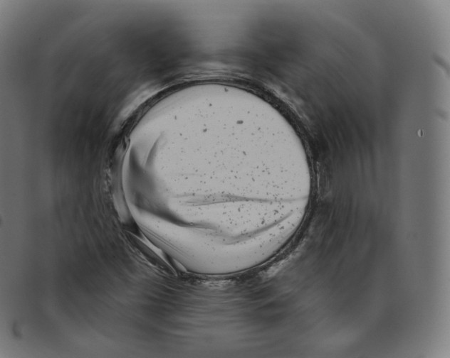 X0000098051453200804251052