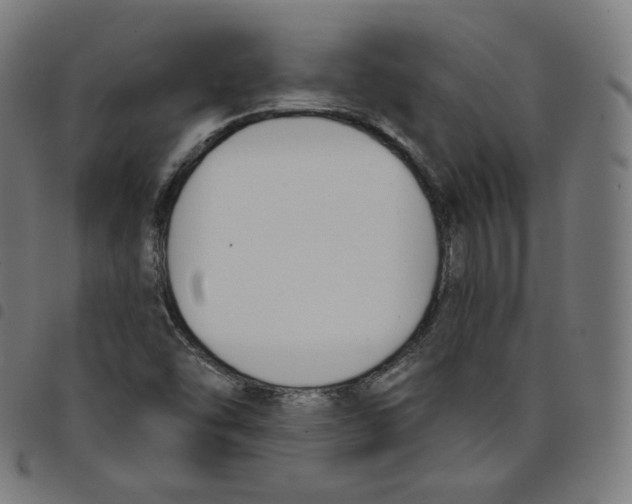 X0000098051454200804251052