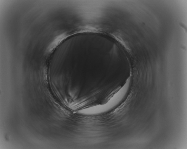 X0000098051455200804251052