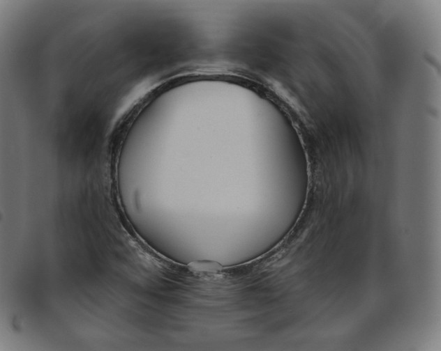 X0000098051456200804251052