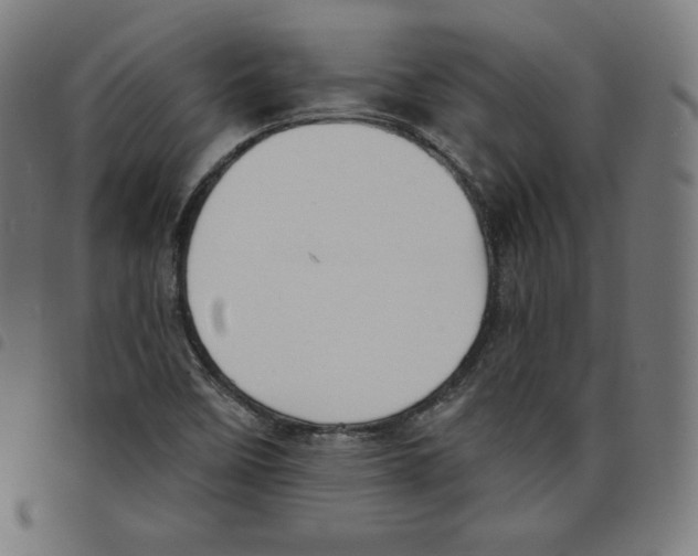 X0000098051458200804251052