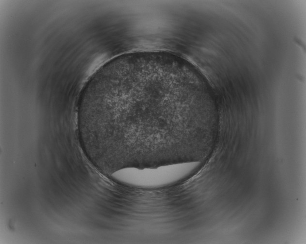 X0000098051459200804251052